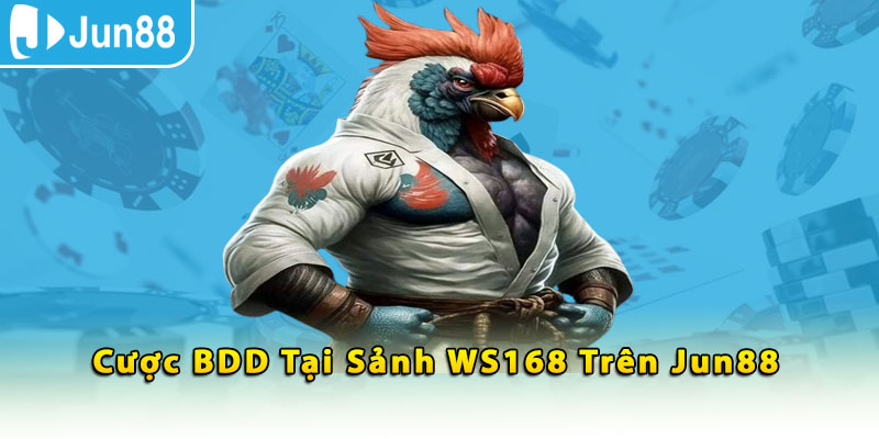 Cược BDD tại sảnh WS168 trên Jun88