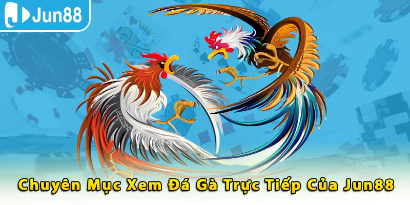 Chuyên mục xem đá gà trực tiếp của Jun88